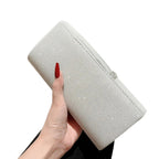 Sac de soirée pochette