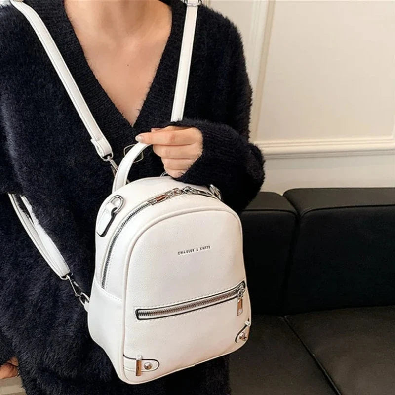 Sac féminin élégant au petit format